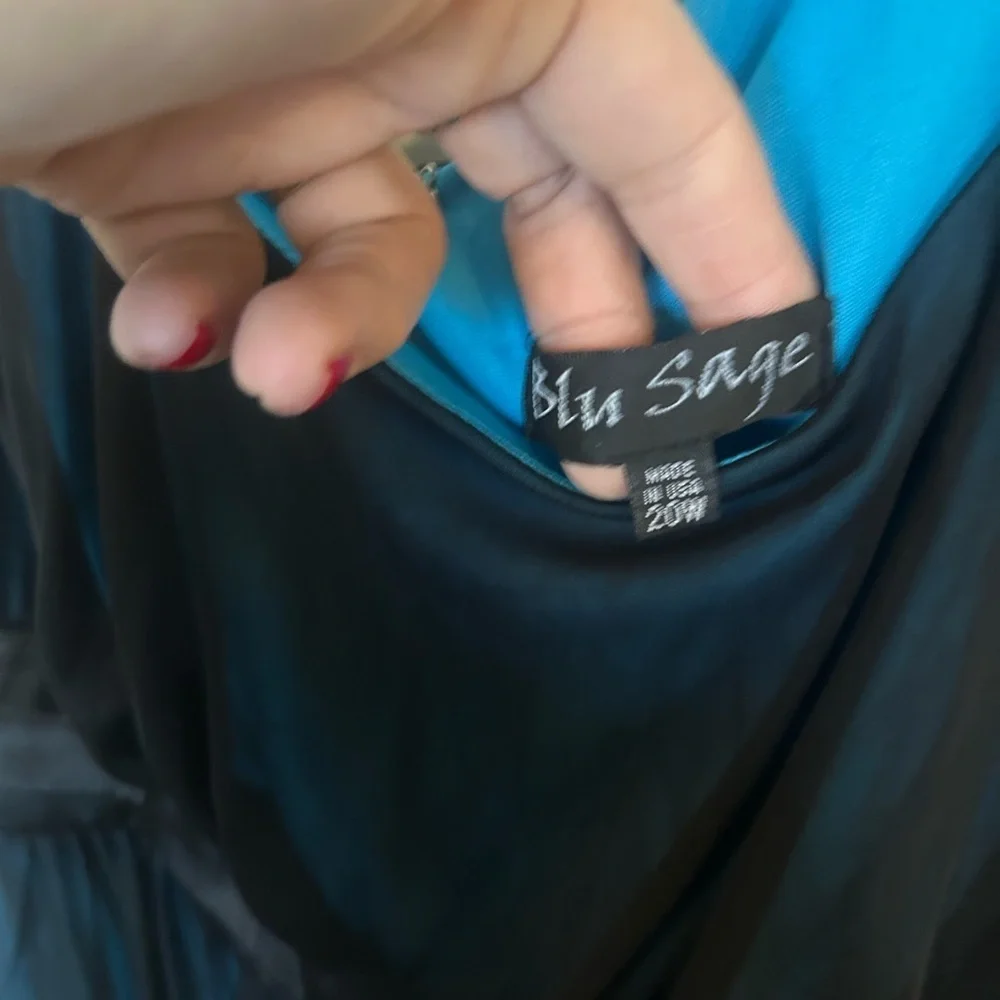 Blu Sage Y2K whimsy Goth size 20 baby doll tie, bag, blue and black dress